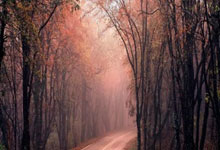 黑白体育：[图]詹姆斯22+9浓眉22+11 力克热火结束3连败.