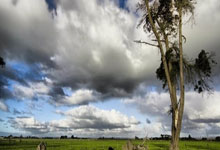 黑白体育：根本是党的绝对领导！.