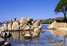 伊萨克谈转会传闻：没啥好说的，我专注于帮球队获得欧冠资格.